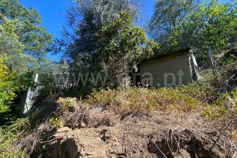 Landejendom i Castelo Branco, Castelo Branco, Castelo Branco - € 15.000 | Ref: 102230224 - foto 9
