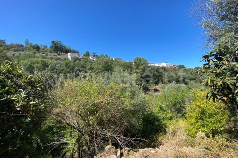Landejendom i Castelo Branco, Castelo Branco, Castelo Branco - € 15.000 | Ref: 102230224 - foto 10