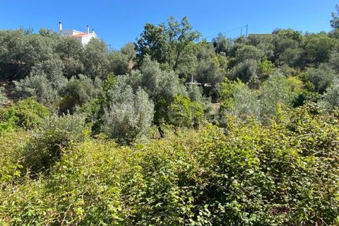 Landejendom i Castelo Branco, Castelo Branco, Castelo Branco - € 15.000 | Ref: 102230224 - foto 13