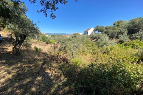 Landejendom i Castelo Branco, Castelo Branco, Castelo Branco - € 15.000 | Ref: 102230224 - foto 14