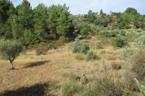 Helårsgrund i Castelo Branco, Castelo Branco, Castelo Branco - € 32.500 | Ref: 102230285 - foto 3