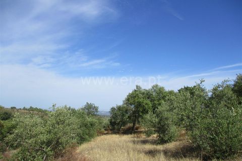 Helårsgrund i Castelo Branco, Castelo Branco, Castelo Branco - € 32.500 | Ref: 102230285 - foto 5