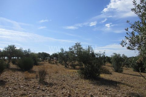 Helårsgrund i Castelo Branco, Castelo Branco, Castelo Branco - € 32.500 | Ref: 102230285 - foto 6