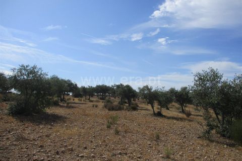 Helårsgrund i Castelo Branco, Castelo Branco, Castelo Branco - € 32.500 | Ref: 102230285 - foto 8