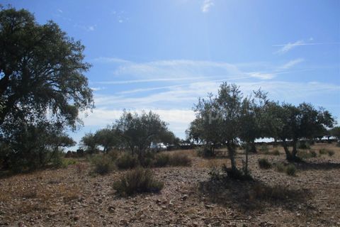 Helårsgrund i Castelo Branco, Castelo Branco, Castelo Branco - € 32.500 | Ref: 102230285 - foto 9