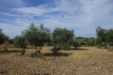 Helårsgrund i Castelo Branco, Castelo Branco, Castelo Branco - € 32.500 | Ref: 102230285 - foto 11