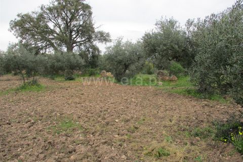 Helårsgrund i Castelo Branco, Castelo Branco, Castelo Branco - € 32.500 | Ref: 102230285 - foto 12