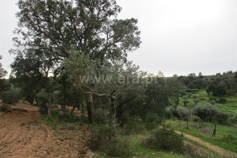 Helårsgrund i Castelo Branco, Castelo Branco, Castelo Branco - € 32.500 | Ref: 102230285 - foto 15