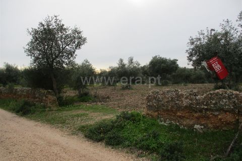 Helårsgrund i Castelo Branco, Castelo Branco, Castelo Branco - € 32.500 | Ref: 102230285 - foto 16