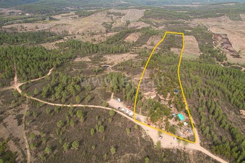 Helårsgrund i Castelo Branco, Castelo Branco, Castelo Branco - € 35.000 | Ref: 102230325 - foto 4