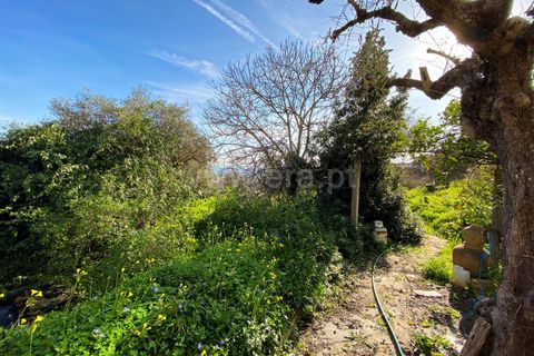Villa i Castelo Branco, Castelo Branco, Castelo Branco - € 59.000 | Ref: 102240042 - foto 12