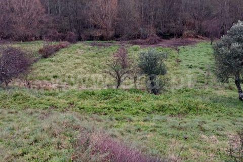 Landejendom i Castelo Branco, Castelo Branco, Castelo Branco - € 20.000 | Ref: 102240002 - foto 3