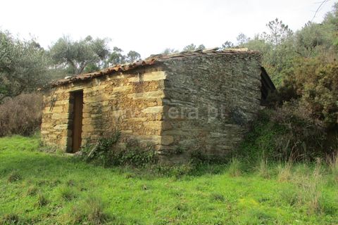 Landejendom i Castelo Branco, Castelo Branco, Castelo Branco - € 30.000 | Ref: 102240021 - foto 3