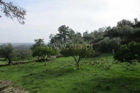 Landejendom i Castelo Branco, Castelo Branco, Castelo Branco - € 30.000 | Ref: 102240021 - foto 4