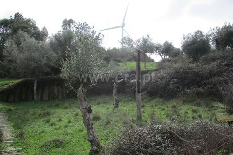Landejendom i Castelo Branco, Castelo Branco, Castelo Branco - € 30.000 | Ref: 102240021 - foto 5