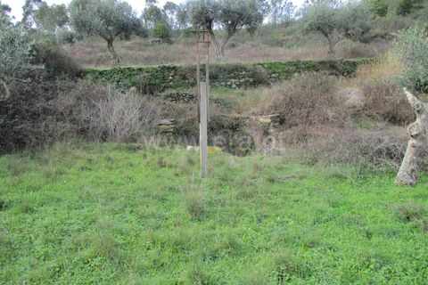 Landejendom i Castelo Branco, Castelo Branco, Castelo Branco - € 30.000 | Ref: 102240021 - foto 7