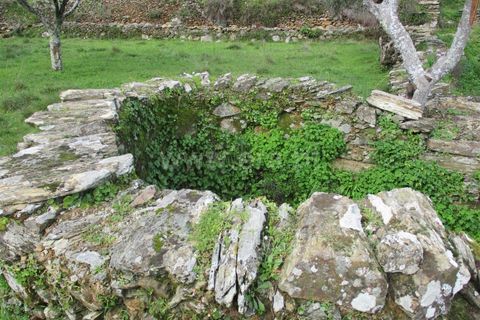 Landejendom i Castelo Branco, Castelo Branco, Castelo Branco - € 30.000 | Ref: 102240021 - foto 8