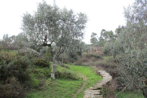 Landejendom i Castelo Branco, Castelo Branco, Castelo Branco - € 30.000 | Ref: 102240021 - foto 10