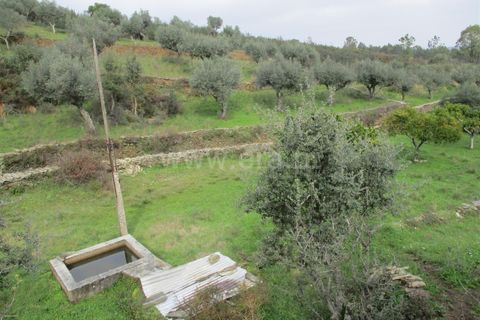 Landejendom i Castelo Branco, Castelo Branco, Castelo Branco - € 30.000 | Ref: 102240021 - foto 11