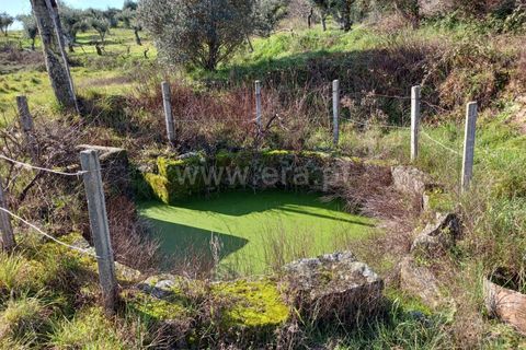 Landejendom i Castelo Branco, Castelo Branco, Castelo Branco - € 14.500 | Ref: 102240026 - foto 5