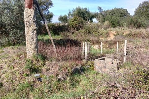 Landejendom i Castelo Branco, Castelo Branco, Castelo Branco - € 14.500 | Ref: 102240026 - foto 6