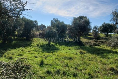 Landejendom i Castelo Branco, Castelo Branco, Castelo Branco - € 14.500 | Ref: 102240026 - foto 8