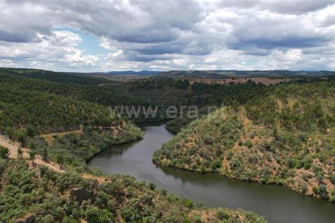 Helårsgrund i Castelo Branco, Castelo Branco, Castelo Branco - € 10.000 | Ref: 102240120 - foto 2
