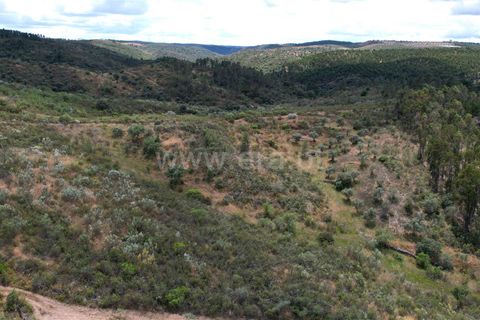 Helårsgrund i Castelo Branco, Castelo Branco, Castelo Branco - € 10.000 | Ref: 102240120 - foto 5