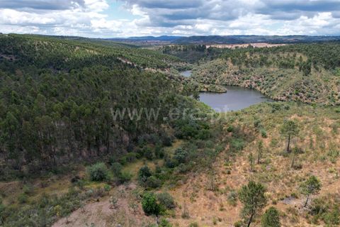 Helårsgrund i Castelo Branco, Castelo Branco, Castelo Branco - € 10.000 | Ref: 102240120 - foto 7