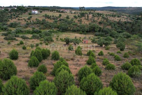 Helårsgrund i Castelo Branco, Castelo Branco, Castelo Branco - € 30.000 | Ref: 102240121 - foto 3