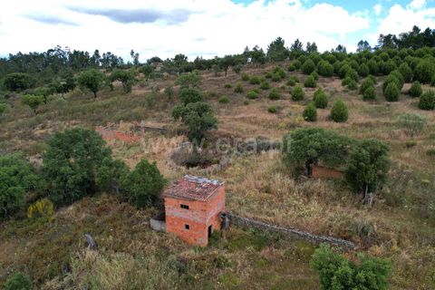 Helårsgrund i Castelo Branco, Castelo Branco, Castelo Branco - € 30.000 | Ref: 102240121 - foto 7