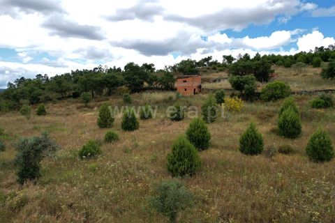 Helårsgrund i Castelo Branco, Castelo Branco, Castelo Branco - € 30.000 | Ref: 102240121 - foto 8