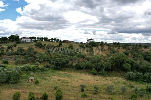 Helårsgrund i Castelo Branco, Castelo Branco, Castelo Branco - € 30.000 | Ref: 102240121 - foto 9