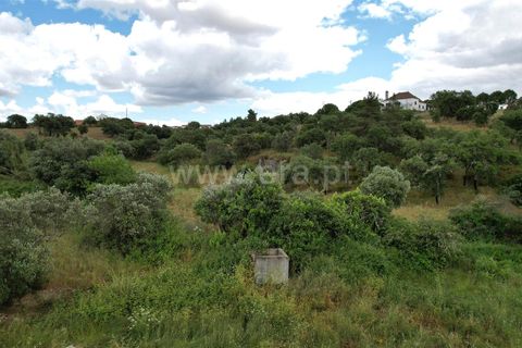 Helårsgrund i Castelo Branco, Castelo Branco, Castelo Branco - € 30.000 | Ref: 102240121 - foto 10