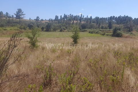 Landejendom i Castelo Branco, Castelo Branco, Castelo Branco - € 25.000 | Ref: 102240158 - foto 4
