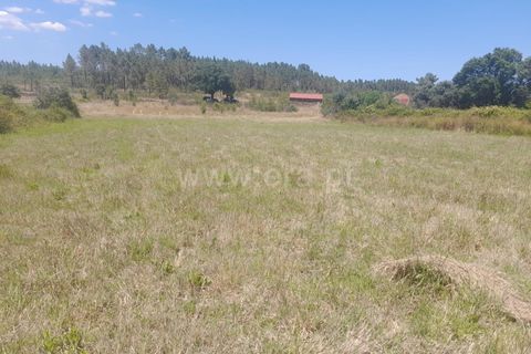 Landejendom i Castelo Branco, Castelo Branco, Castelo Branco - € 25.000 | Ref: 102240158 - foto 5