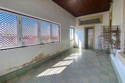 Villa a Nisa, Portalegre, Nisa - € 575.000 | Ref: 102240243 - foto 13