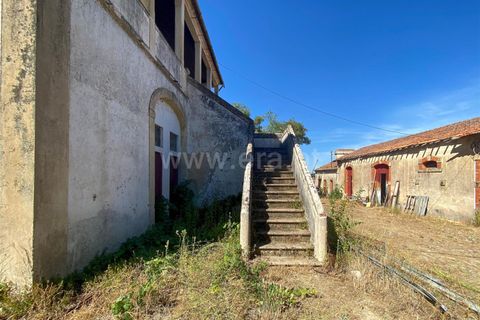 Villa a Nisa, Portalegre, Nisa - € 575.000 | Ref: 102240243 - foto 19
