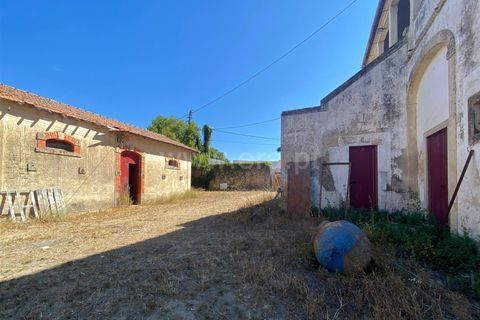 Villa a Nisa, Portalegre, Nisa - € 575.000 | Ref: 102240243 - foto 21