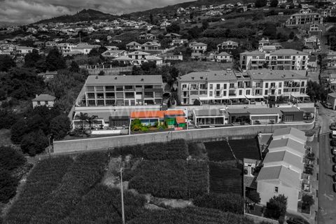 Villa i Ponta do Sol, Madeira, Ponta do Sol - € 698.000 | Ref: 081240271 - foto 2