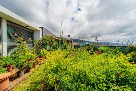 Villa i Ponta do Sol, Madeira, Ponta do Sol - € 698.000 | Ref: 081240271 - foto 14