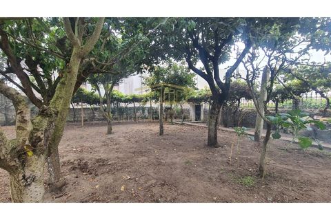 Villa i Vila do Conde, Porto, Vila do Conde - € 399.000 | Ref: PBI-1500 - foto 7