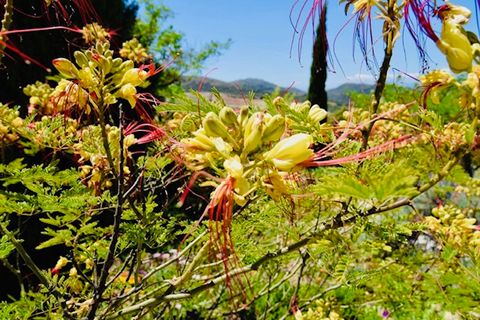 Villa i Almogia, Malaga, Almogia - € 495.000 | Ref: R4868635 - foto 26