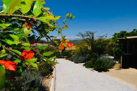 Villa i Almogia, Malaga, Almogia - € 495.000 | Ref: R4868635 - foto 24