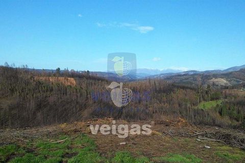 Terra a Arganil, Coimbra, Arganil - € 50.000 | Ref: ALVER-202160 - foto 3