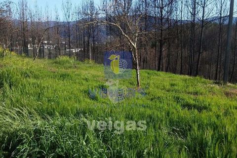 Terra a Arganil, Coimbra, Arganil - € 50.000 | Ref: ALVER-202160 - foto 5