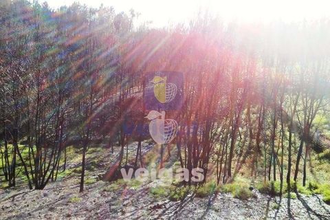Terra a Arganil, Coimbra, Arganil - € 50.000 | Ref: ALVER-202160 - foto 6