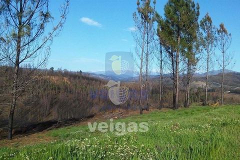 Terra a Arganil, Coimbra, Arganil - € 50.000 | Ref: ALVER-202160 - foto 8