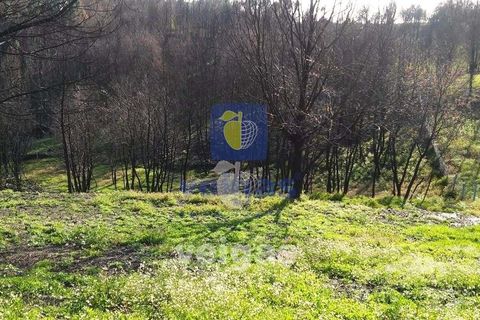 Terra a Arganil, Coimbra, Arganil - € 50.000 | Ref: ALVER-202160 - foto 9