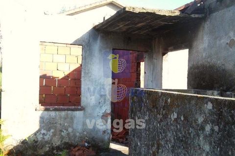 Terra a Arganil, Coimbra, Arganil - € 50.000 | Ref: ALVER-202160 - foto 11